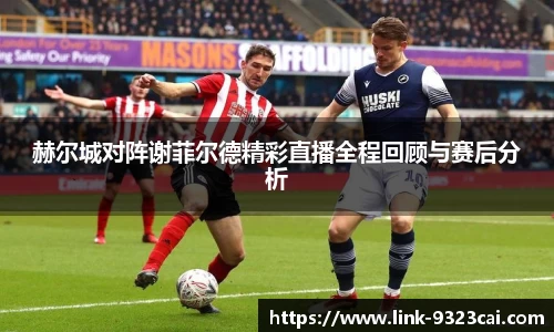 赫尔城对阵谢菲尔德精彩直播全程回顾与赛后分析